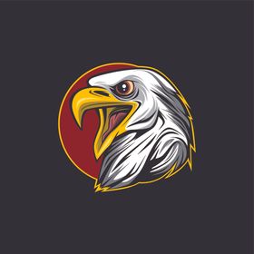 雄鹰LOGO