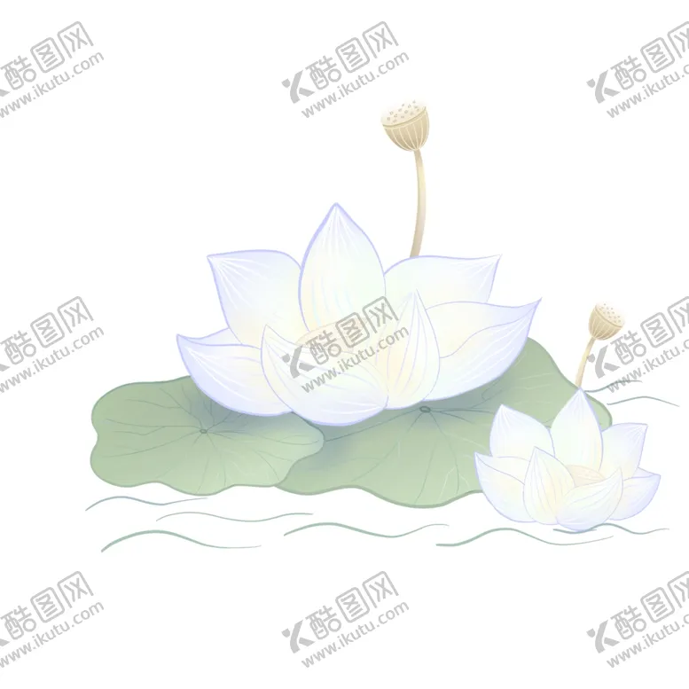 编号：23439810201122563348【酷图网】源文件下载-淡彩莲花淡雅雪莲