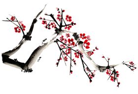 中国风水墨梅