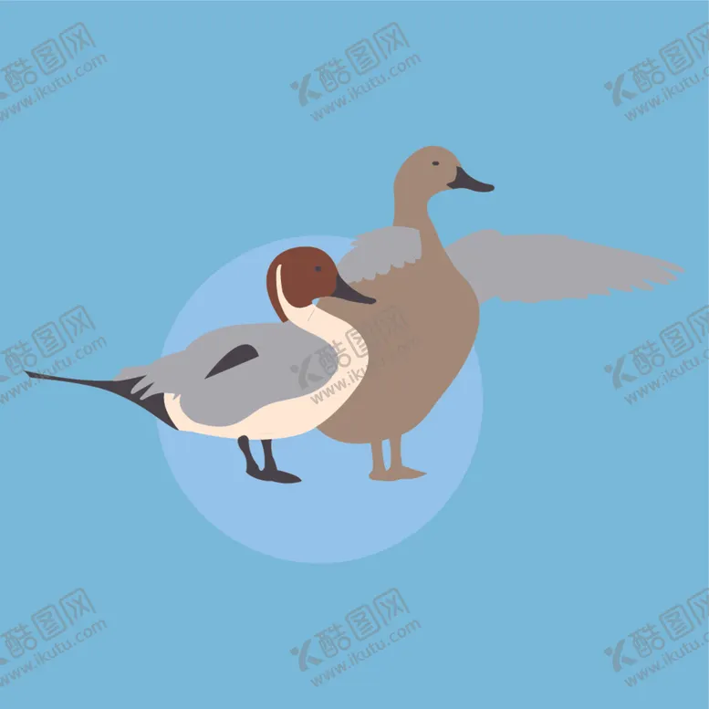 编号：53899812062307247382【酷图网】源文件下载-鸭子矢量素材插画