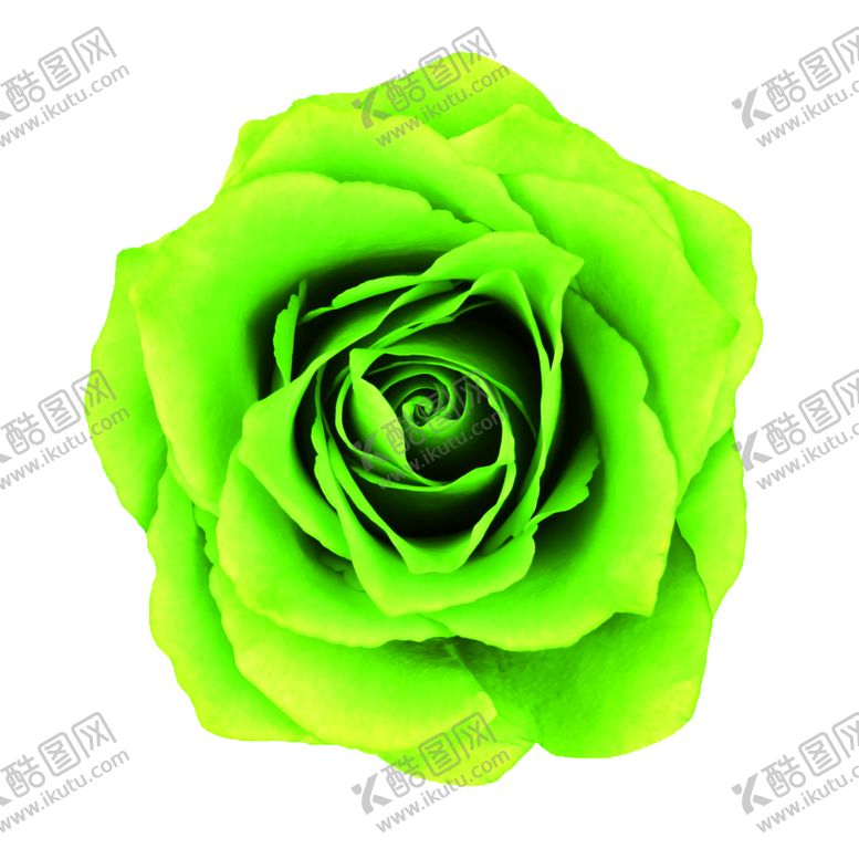 编号：13867810200220449376【酷图网】源文件下载-花素材