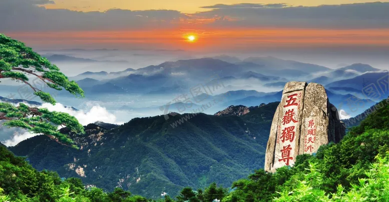 编号：85166301270308026045【酷图网】源文件下载-泰山松树五岳独尊