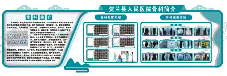 编号：11477102181207193574【酷图网】源文件下载-骨科文化墙