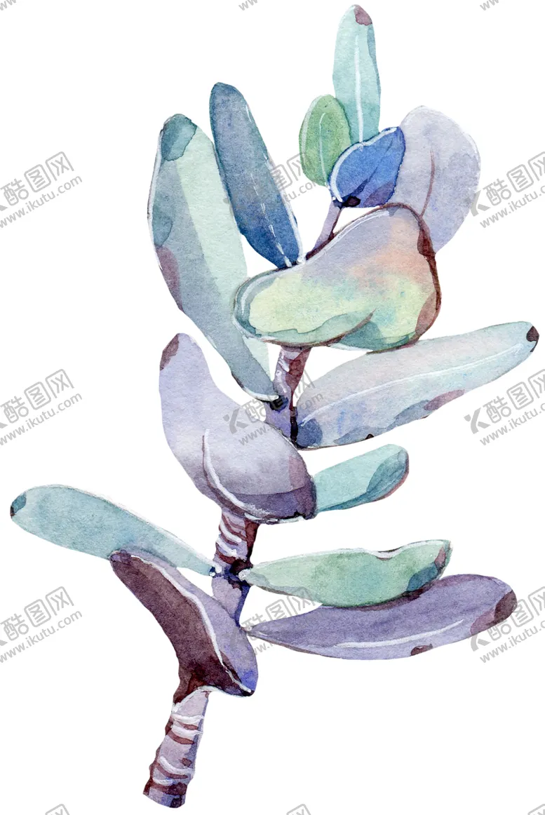 编号：37937306300922425515【酷图网】源文件下载-绿色装饰