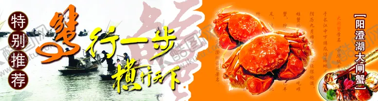 编号：38414710180830347516【酷图网】源文件下载-澄阳湖大闸蟹