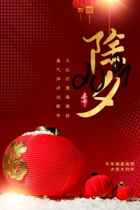 除夕夜宣传广告大年夜夜团圆