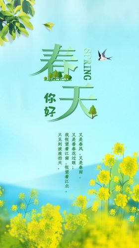 油菜花