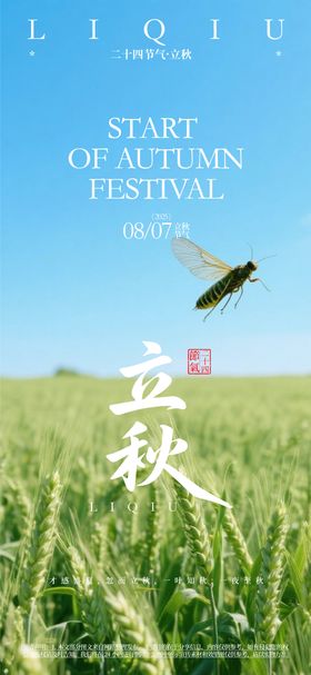 节气活动海报
