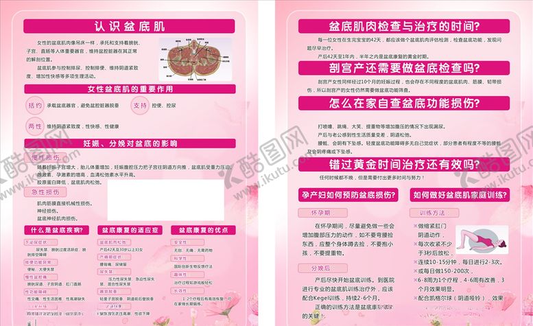 编号：16331109192225586215【酷图网】源文件下载-盆底肌盆底肌修复盆底肌海报