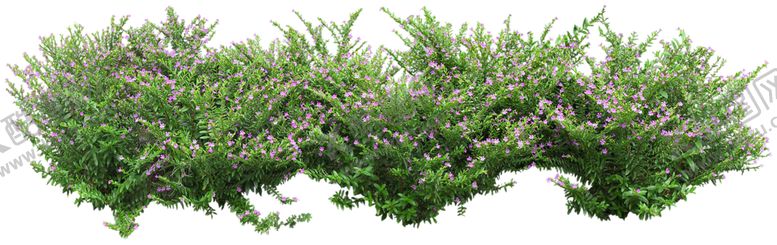 编号：68376809171745414653【酷图网】源文件下载-绿色植物