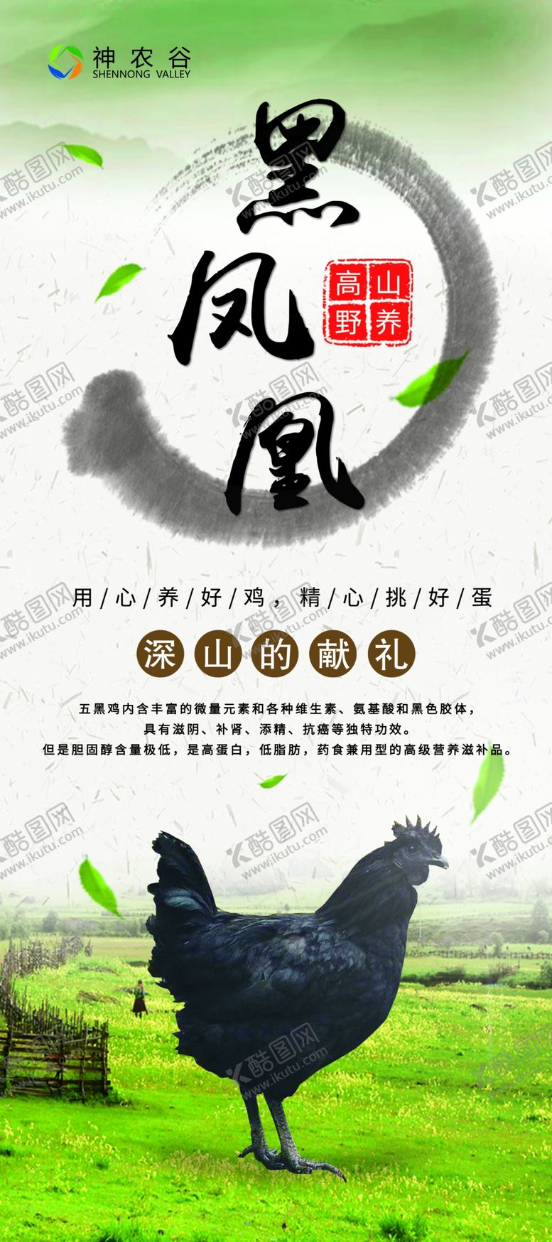 编号：14161407042318376665【酷图网】源文件下载-黑凤凰