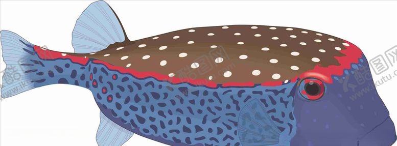 编号：89992409241255591536【酷图网】源文件下载-象鼻鱼