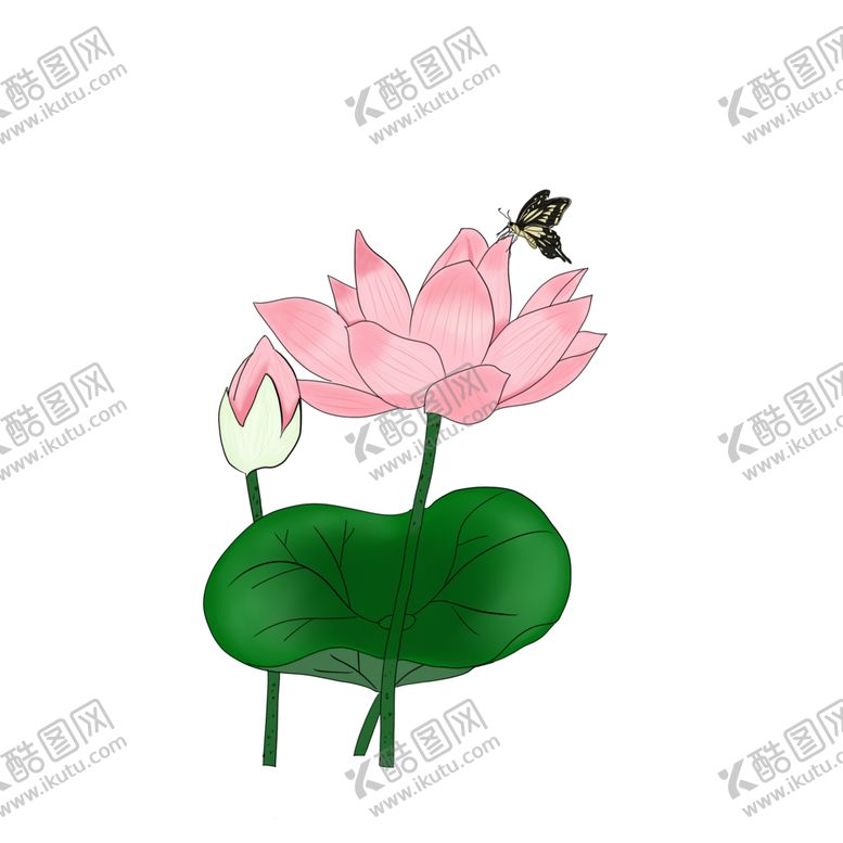 编号：93617005011238481736【酷图网】源文件下载-荷花元素