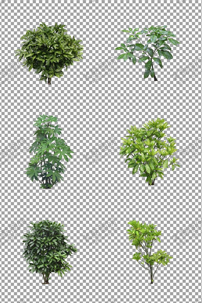 编号：47626410301813058064【酷图网】源文件下载-绿色清新小树木