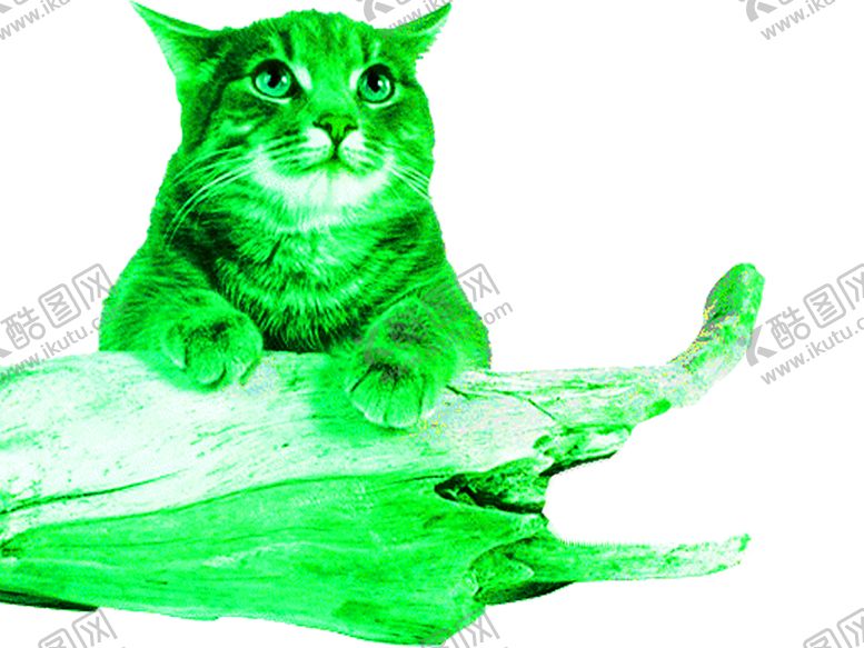 编号：57471210041930424653【酷图网】源文件下载-花素材