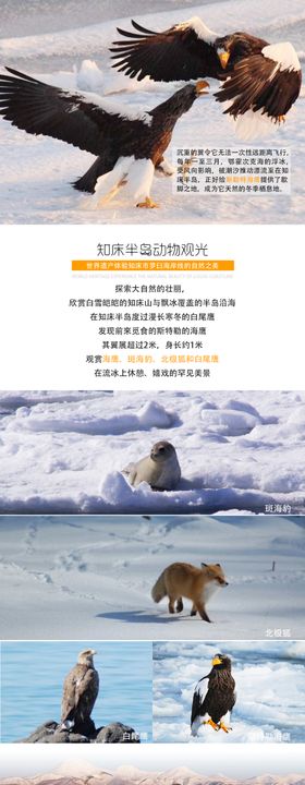日本旅游图片