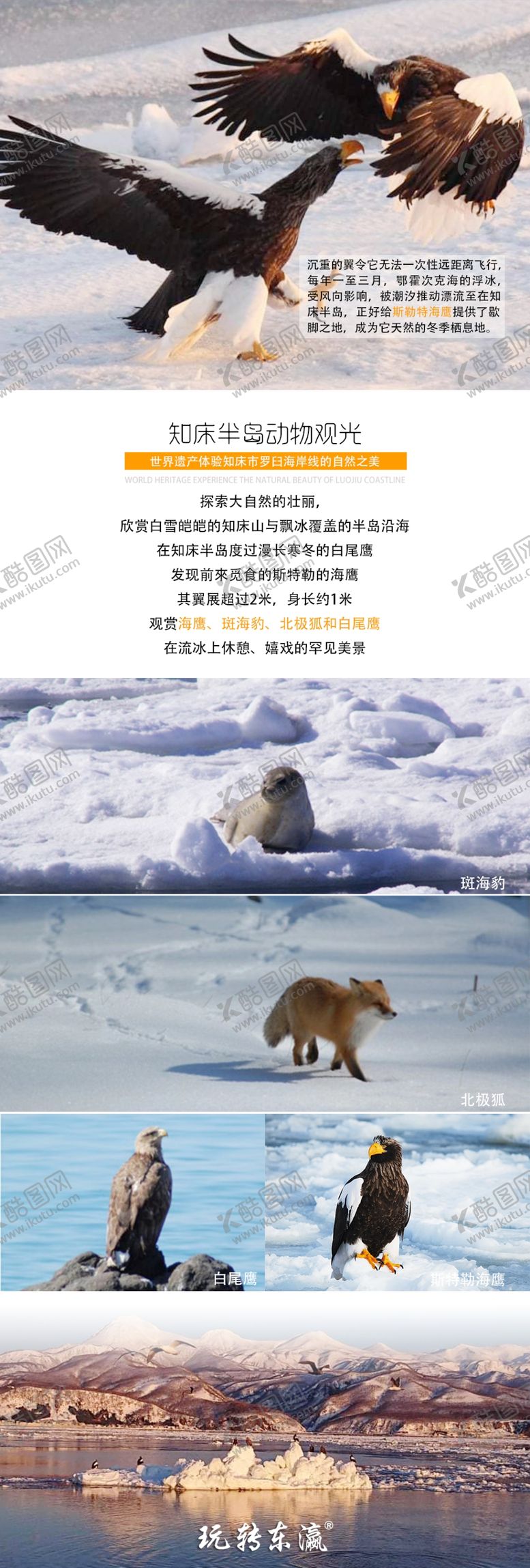 编号：65996407040338251364【酷图网】源文件下载-日本旅游图片