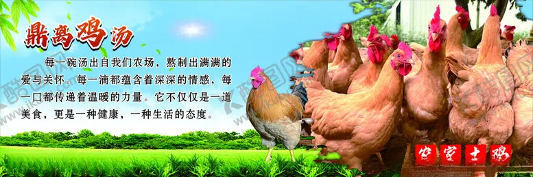 编号：36038102102250448921【酷图网】源文件下载-鸡汤海报