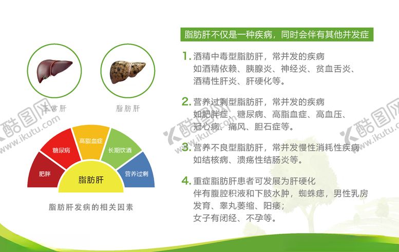 编号：51175710080117541719【酷图网】源文件下载-脂肪肝