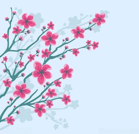 樱花