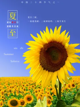 夏至海报