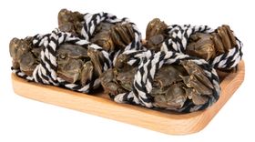 大闸蟹食材美食绳结螃蟹素材
