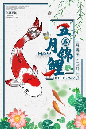 五月锦鲤好运