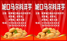 城口马尔科洋芋