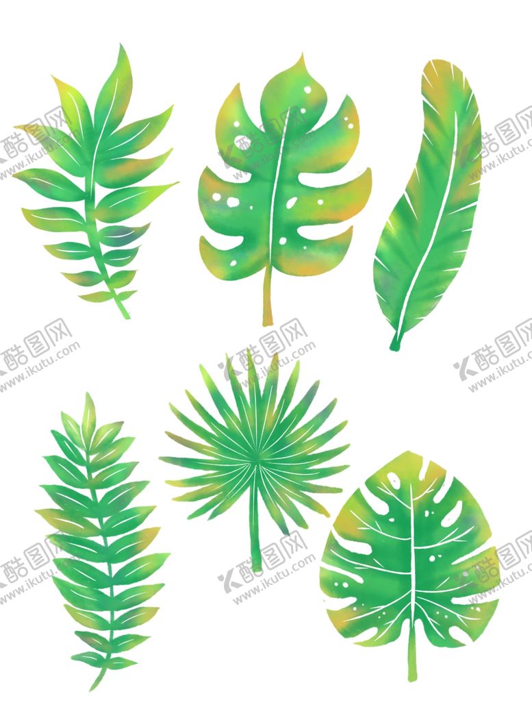 编号：90253109210418006506【酷图网】源文件下载-绿色树叶