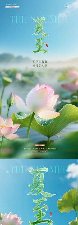 夏至小暑荷花风景海报