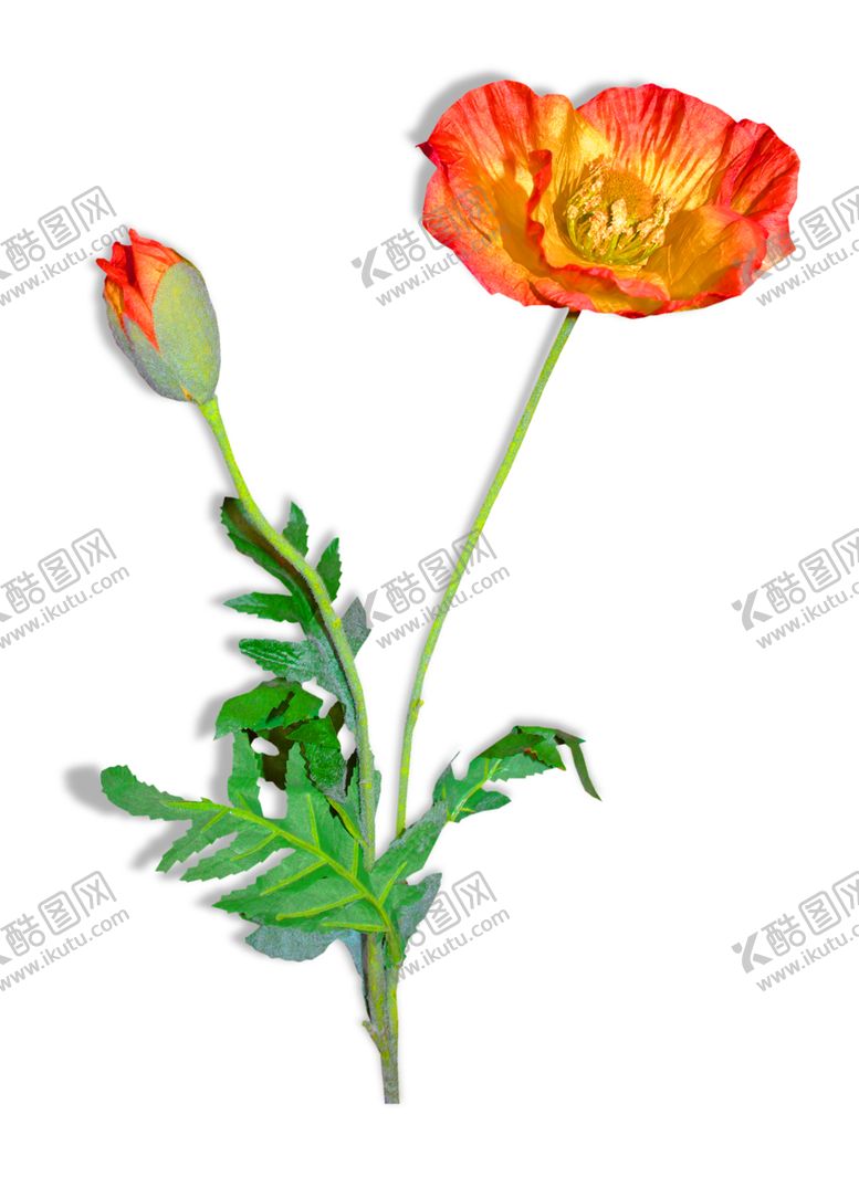 编号：61990605132123035160【酷图网】源文件下载-鲜花装饰