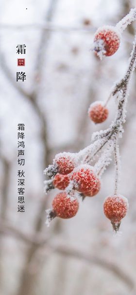 霜降海报朋友圈图中国传统节气节气节气图