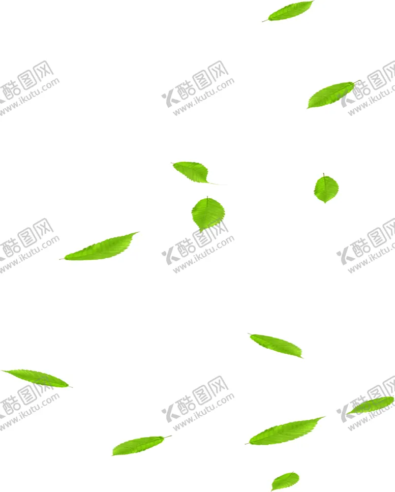 编号：55726505102147404278【酷图网】源文件下载-飘落的绿叶