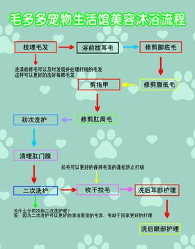 宠物店洗发流程