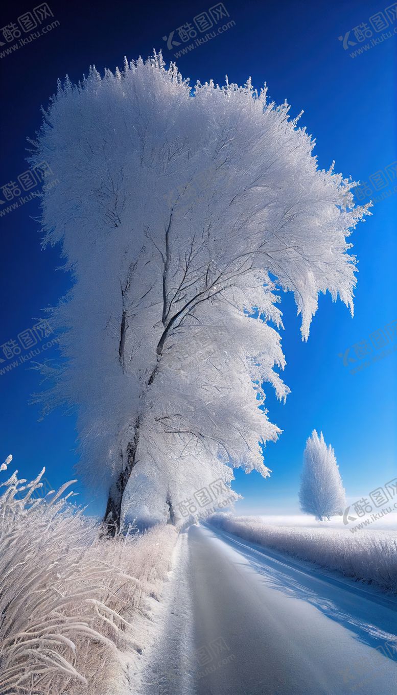 编号：25066601271942441712【酷图网】源文件下载-雾凇雪景
