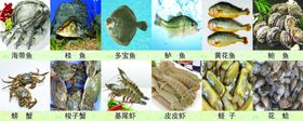 海鲜