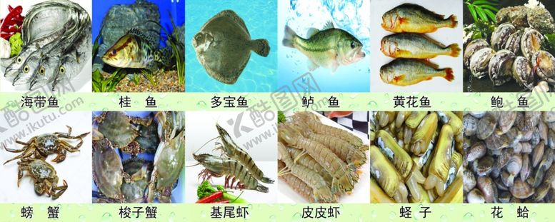 编号：62578106280325034530【酷图网】源文件下载-海鲜
