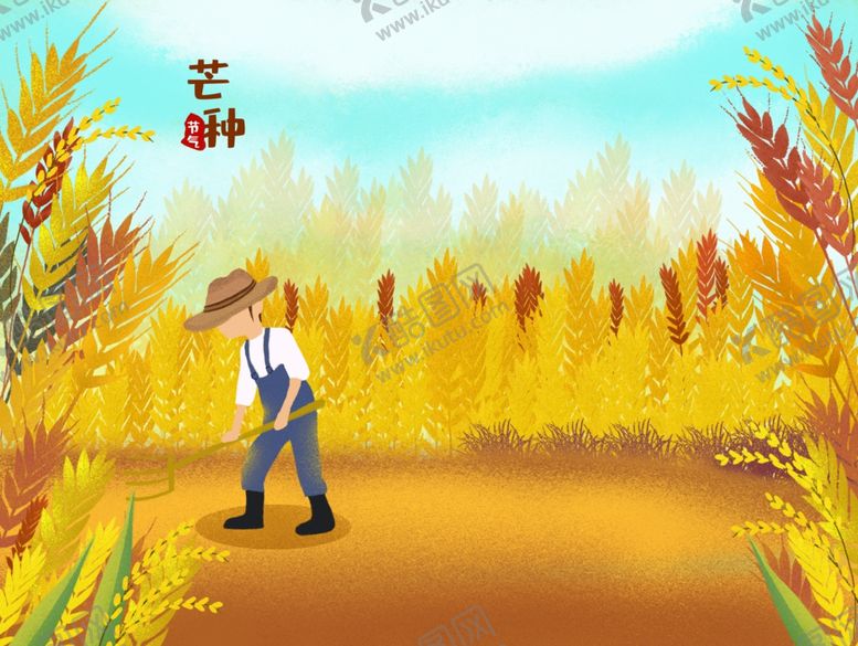 编号：22216101190325519025【酷图网】源文件下载-小麦丰收插画