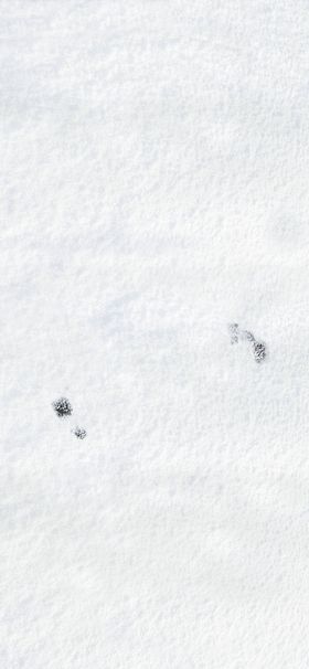 小雪背景