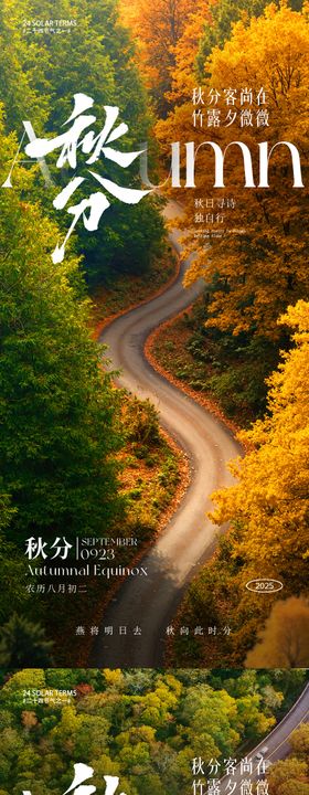 秋分节气海报