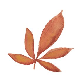 绿色水彩植物树叶