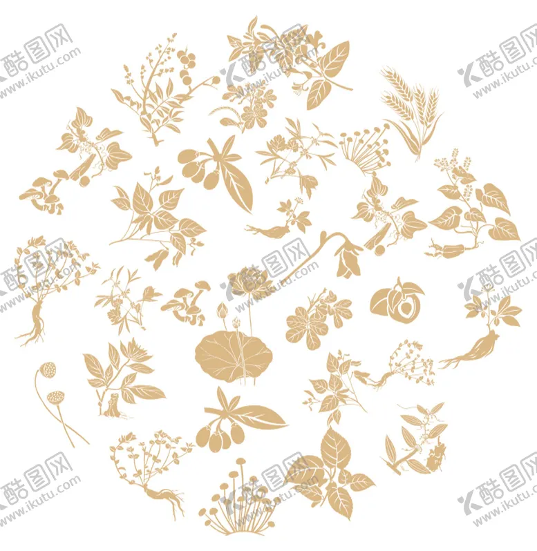 编号：01975609132133279160【酷图网】源文件下载-中药
