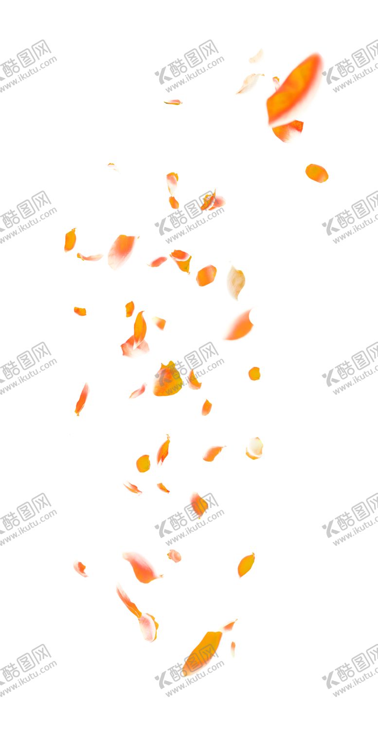 编号：37728309111638478884【酷图网】源文件下载-花素材