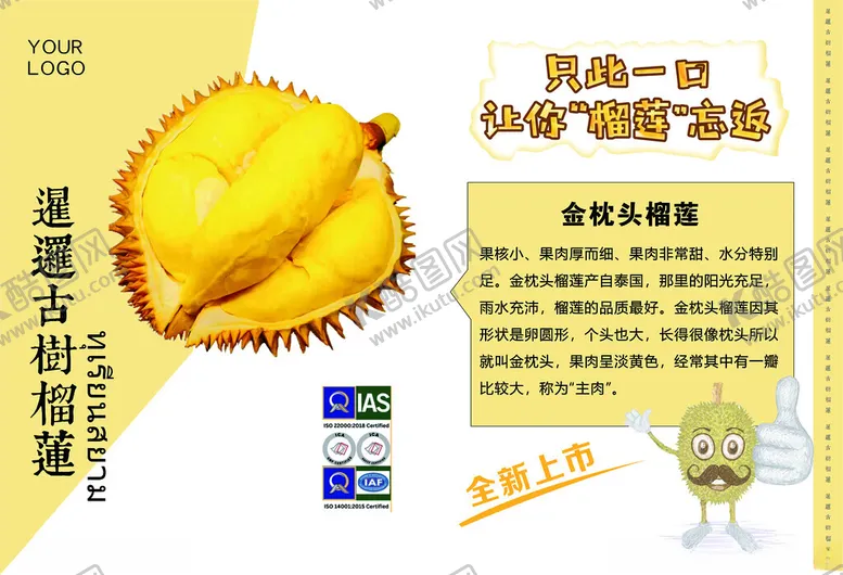 编号：21746002160615349643【酷图网】源文件下载-榴莲海报单页设计