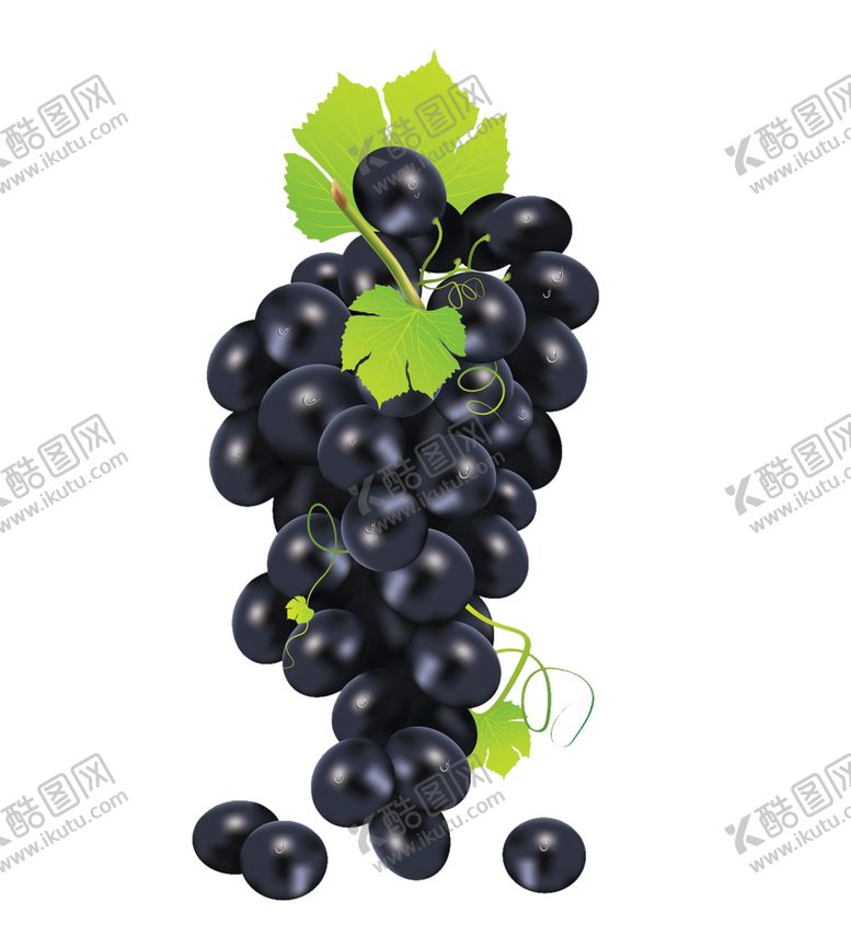 编号：96082709141149275423【酷图网】源文件下载-水果