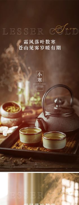 小寒节气海报系列大二十四简约