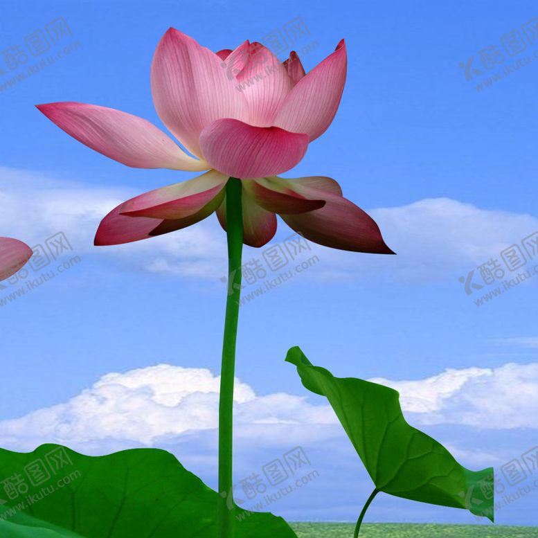 编号：60742509150801536201【酷图网】源文件下载-装饰画