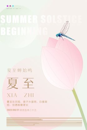 简约小清新ins风夏至节日海报