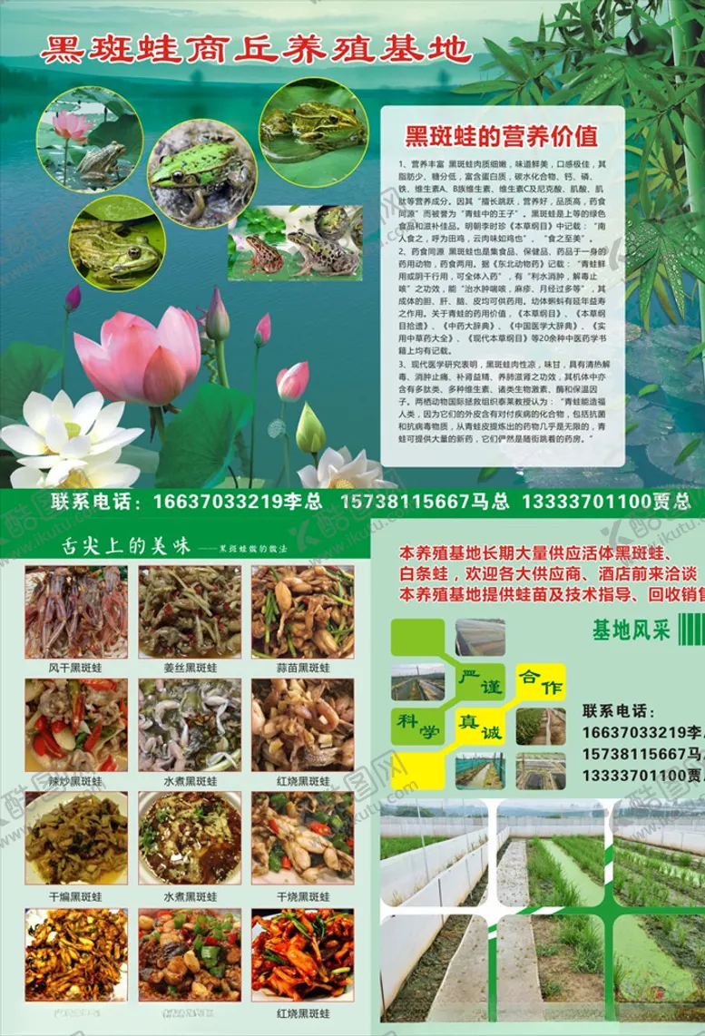 编号：45189206170412373319【酷图网】源文件下载-养殖青蛙销售