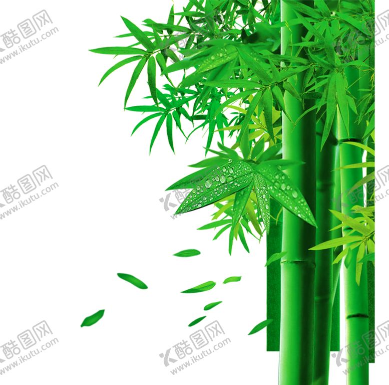 编号：43909401260749304790【酷图网】源文件下载-竹子 图片 竹叶 png  手